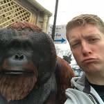Darryl Ballinger - @darrylballinger - Instagram
