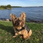 Darryl Belanger - @darryl.belanger - Instagram