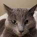 Darryl Benson - Facebook