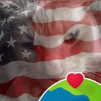 Darryl Berg - Facebook