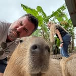 Daryl Berg - @darylberg - Instagram