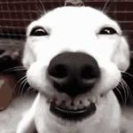 Darryl Bond - @dbond13907 - Instagram