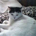 darrin - @darrylbooker4217 - Instagram
