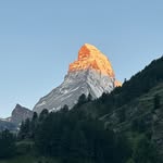 Darryl Brand - @darrylbrand - Instagram