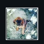 Darryl carpenter - @dc_dare_dare - Instagram