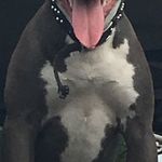 Darryl Collins - @darrylcollins7287 - Instagram