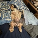 Darryl Cunningham - @darrylcunningham73 - Instagram