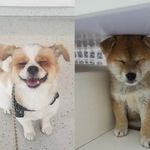 Damon Darryl Do - @damondarryldo - Instagram