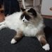 Darryl Diamond - Facebook