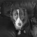 Darrell Donald - Facebook