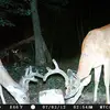 darryl ellis - @darryl.ellis0 - TikTok