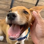 Darryl Walker-Ellis - @bigfulladarryl - Instagram