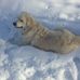 Darryl Englander - Facebook