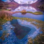 Darryl Flowers - @darrylflowers011 - Instagram