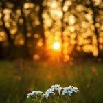 Joseph Tucker 617 - @darrylfowler4509495 - Instagram