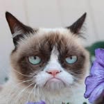 Darryl Fraser - @darrylgfraser - Instagram
