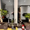 darrylfraser966 - @darrylfraser966 - TikTok