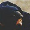 Darryl_Frederick_Jr. - @Darryl_Frederick_ - TikTok