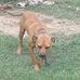Darryl Fulgham - Facebook