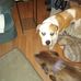 Darryl Fuller - Facebook