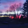Daryl Garland - @darylgarland - TikTok