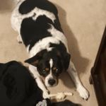 Daryl Kimble-garland - @kimblegarlanddaryl - Instagram