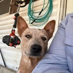 Darryl Garris - @lanepatterson15 - Instagram
