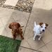 Darryl Garth - Facebook