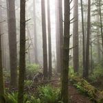 Darryl Gates - @darryl.gates.359 - Instagram