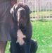 Darrell Gilchrist - Facebook
