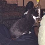 Darryl  Glasco - @___dee__nice_ - Instagram