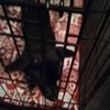 darrylglass595 - @darrylglass595 - TikTok