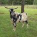 Darryl Glover - Facebook
