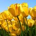 Darryl Goetze - Facebook