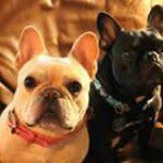 Darryl Goldman - @darrylgoldman1 - Instagram
