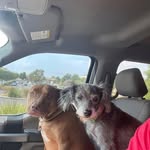 Darryl Gonzales - @gonzod31 - Instagram