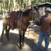 Darryl Gonzalez - Facebook