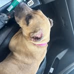 Darrel Gooch - Facebook