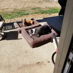 Darryl Griffith - @darryl.griffith.1213 - Instagram