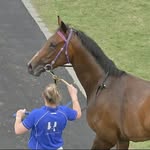 @darrylhansenracing - Instagram