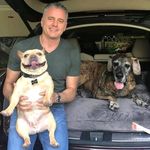 Darryl Harmon - @darrylharmon74 - Instagram