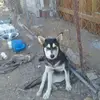 darrylharmon273 - @darrylharmon273 - TikTok