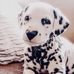 Darryl Hart - Facebook