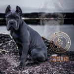 Darryl Hayes - @darrylhayes3904 - Instagram