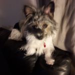 Darryl Hayes - @darryl.hayes.3304 - Instagram