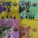 Darryl Hazelden - @hazeldendarryl - Instagram