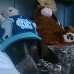 Darryl Holland - @holland.darryl - Instagram