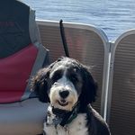 Darryl Jorgenson - @darryljorgenson - Instagram