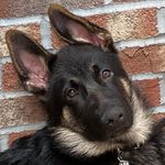 Darryl Keels - @dkeels2 - Instagram