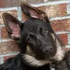 darrylkeels690 - @dkeels611 - TikTok
